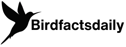 birdfactsdaily logo