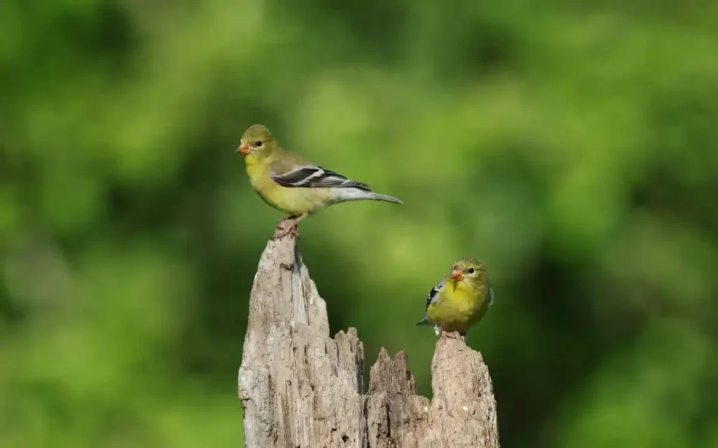 Spiritual Lessons and Warnings